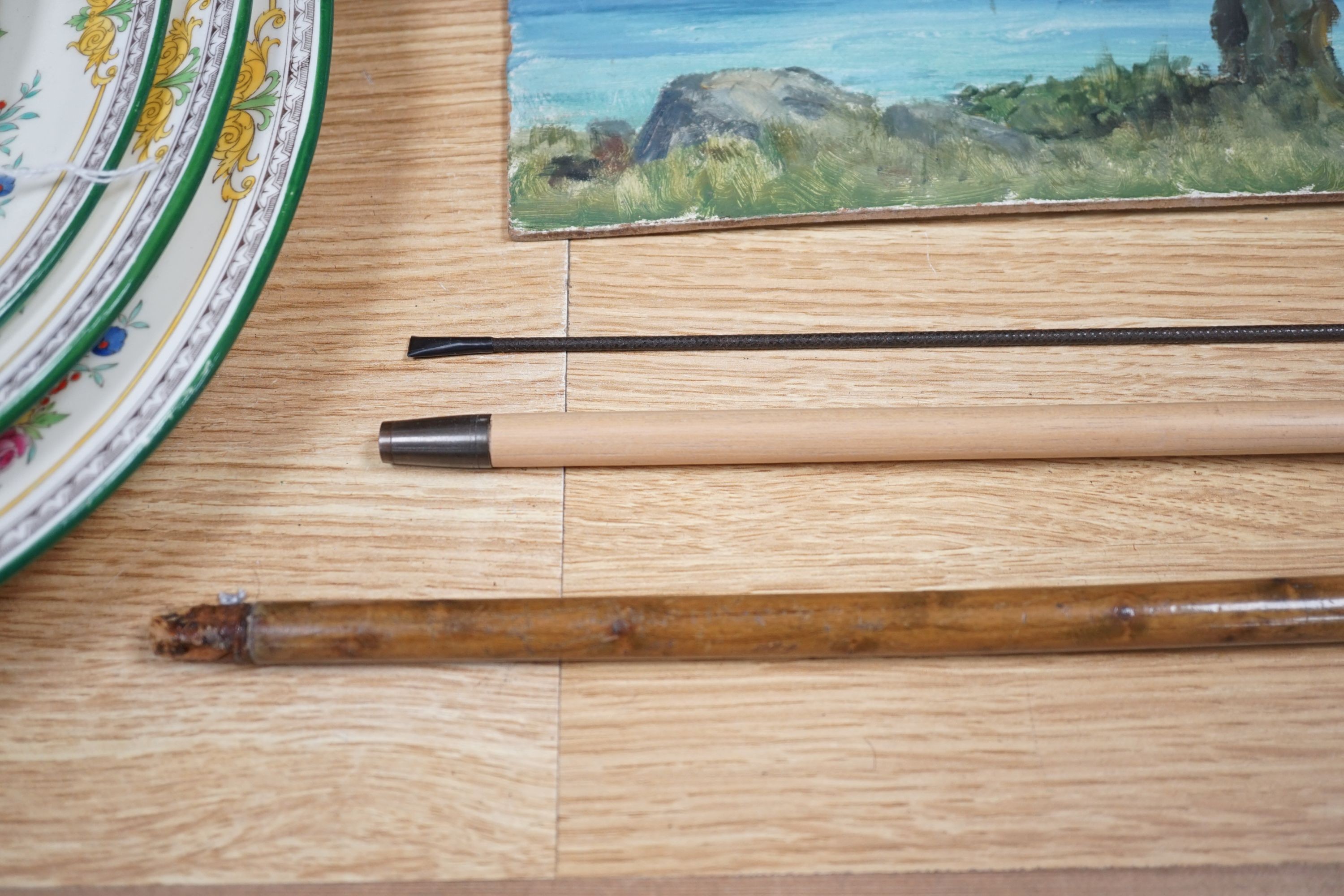 Two 19th century canes and a whip-longest 91 cms.